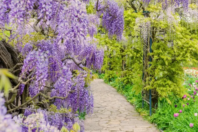 mantenimiento de jardines